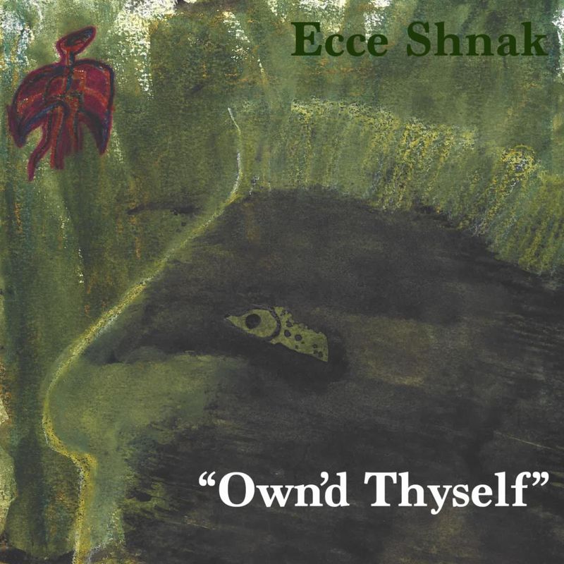 Ecce Shnak to Release DANDY VARIANCES, North American Tour Starts November 11 Image