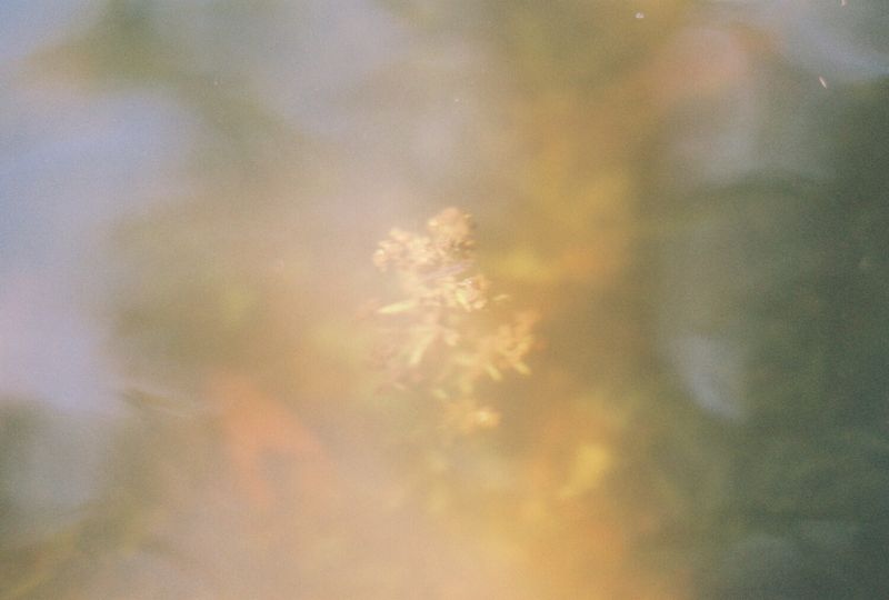 Photos: Scott Li & Claire Zhang Release 'Equinox' Single from SOLSTICE — photo 1 of 5