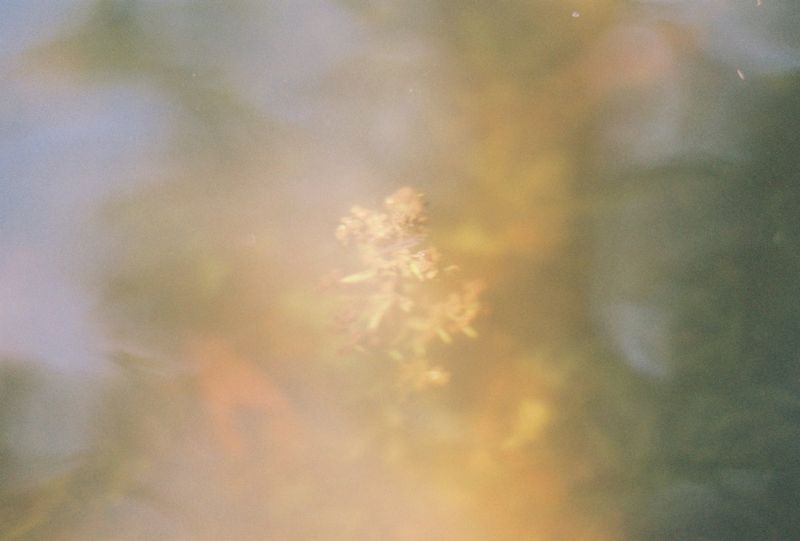 Photos: Scott Li & Claire Zhang Release 'Equinox' Single from SOLSTICE — photo 5 of 5