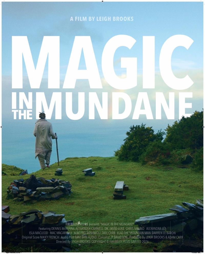 Photos: MAGIC IN THE MUNDANE Arrives on VOD Platforms — photo 4 of 19