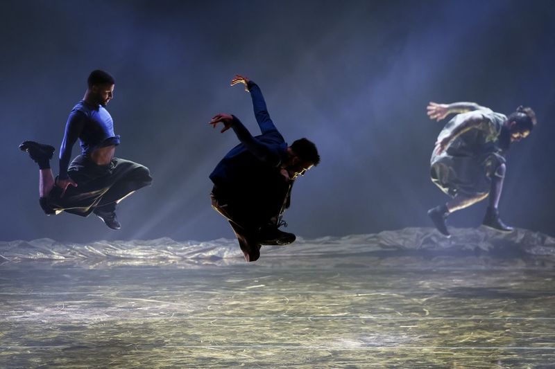 Review: COMPAGNIE HERVÉ KOUBI at George Mason's Center For The Arts Image