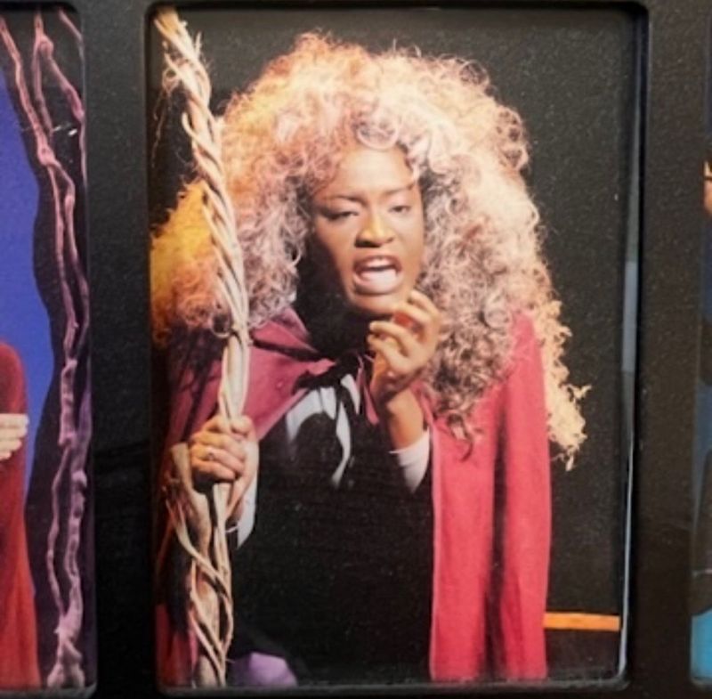 Interview: Nasia Thomas of DEATH BECOMES HER at Orpheum Theater Image