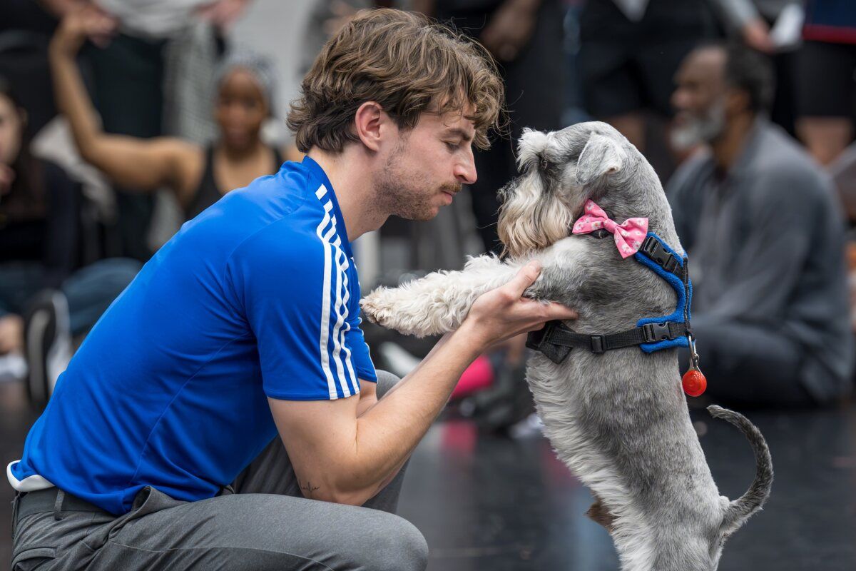 Photos: CHARLIE AND THE CHOCOLATE FACTORY In Rehearsal at Curve Leicester — photo 18 of 21