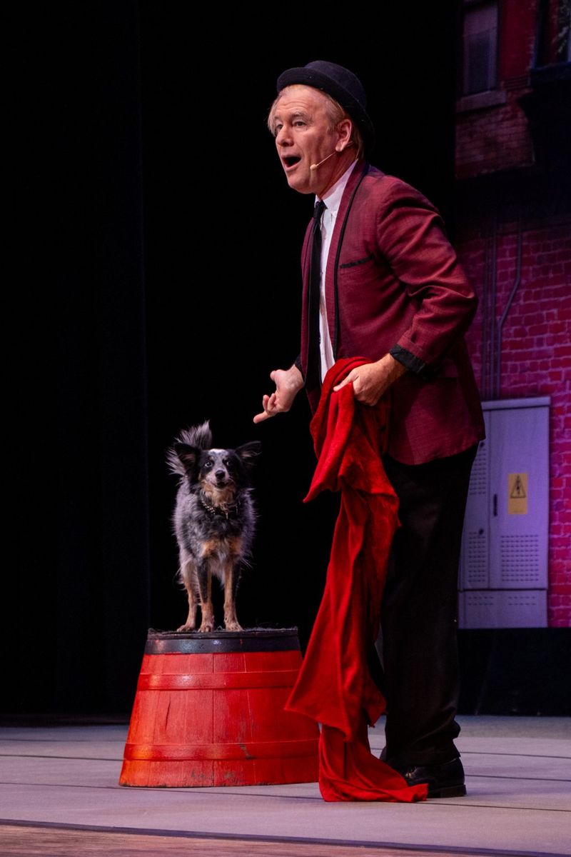 Photos: Four Productions Go on Sale at Garden Theatre on Plant in Winter Garden — photo 4 of 6