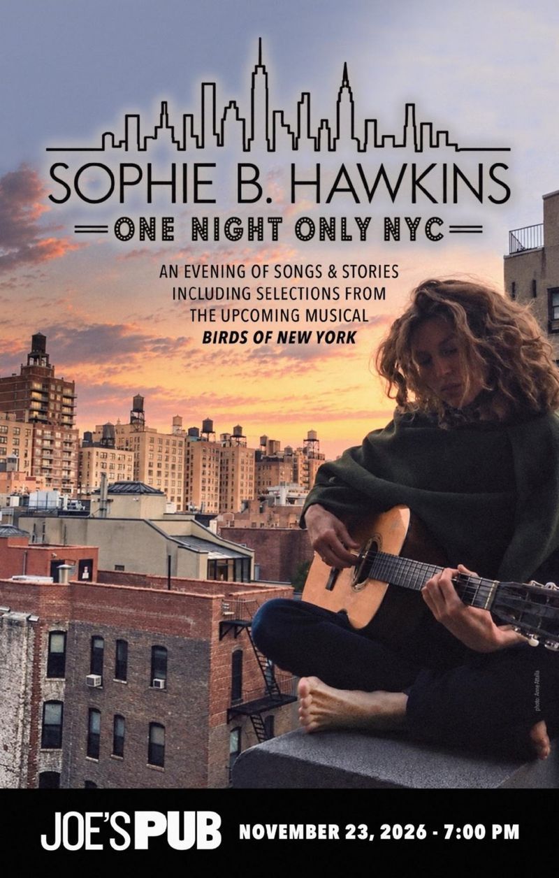 Sophie B. Hawkins to Perform at Joe's Pub With BIRDS OF NEW YORK Selections Image