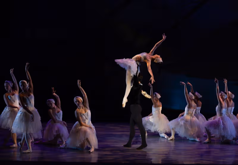 Review: SWAN LAKE by the American Repertory Ballet-A Wonderous Production Image