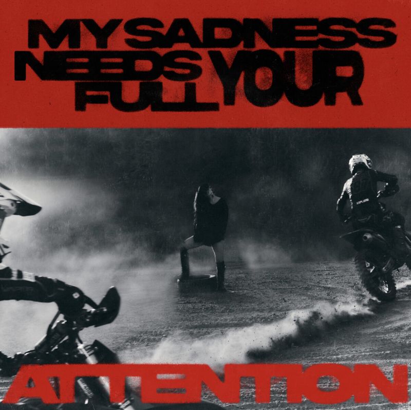 Dandelion Releases FIRST PART OF Debut Album MY SADNESS NEEDS YOUR FULL ATTENTION Image