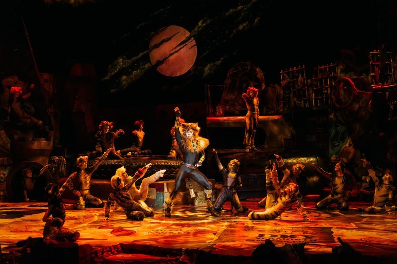 Witness a Jellicle Ball at CATS THE MUSICAL, Freshly Opened at Sands Theatre Image