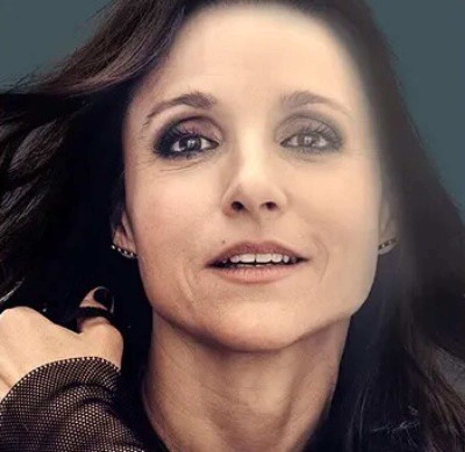 Julia Louis-Dreyfus Photo