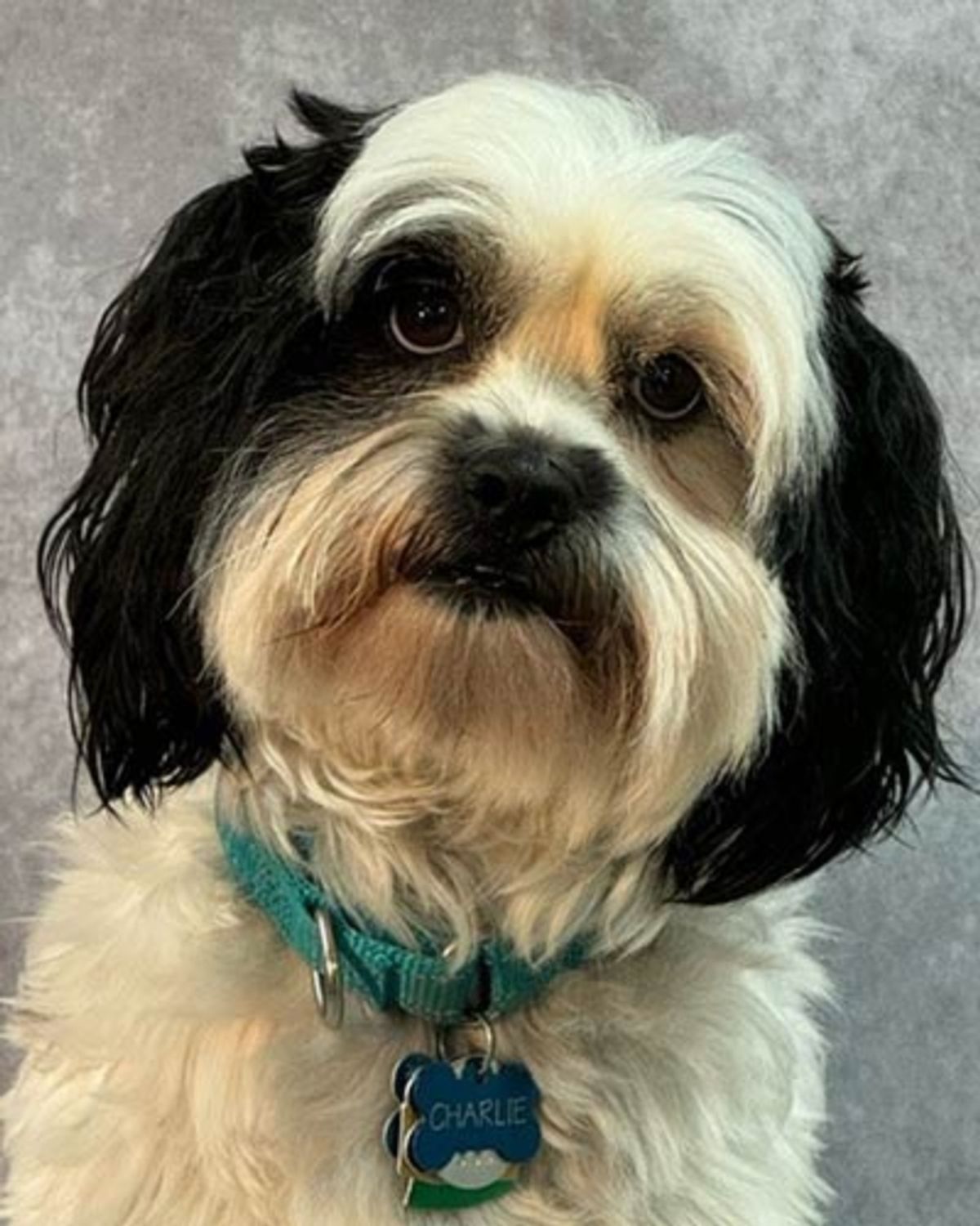 Charlie  Headshot