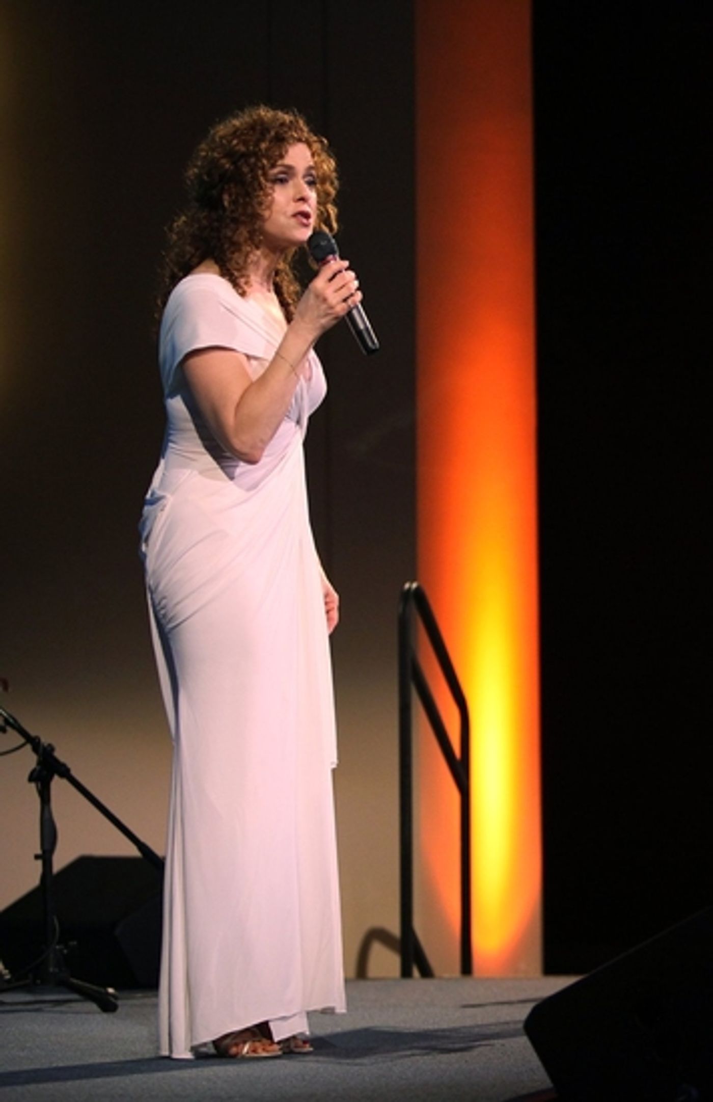 Photo Coverage Exclusive: Signature Theatre's First Annual Stephen Sondheim Award Gala  Image