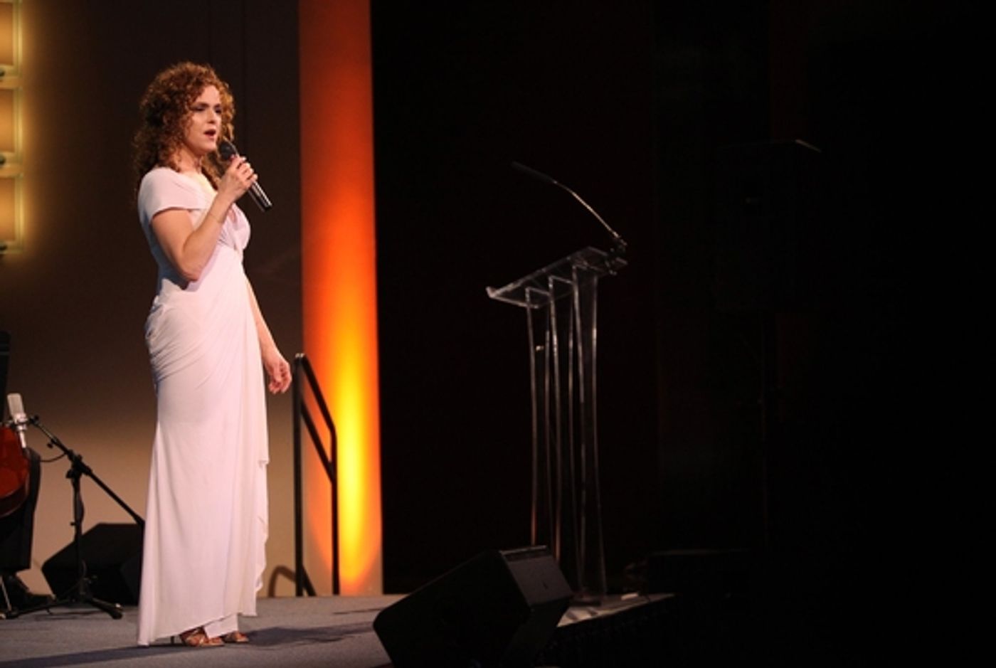 Photo Coverage Exclusive: Signature Theatre's First Annual Stephen Sondheim Award Gala  Image