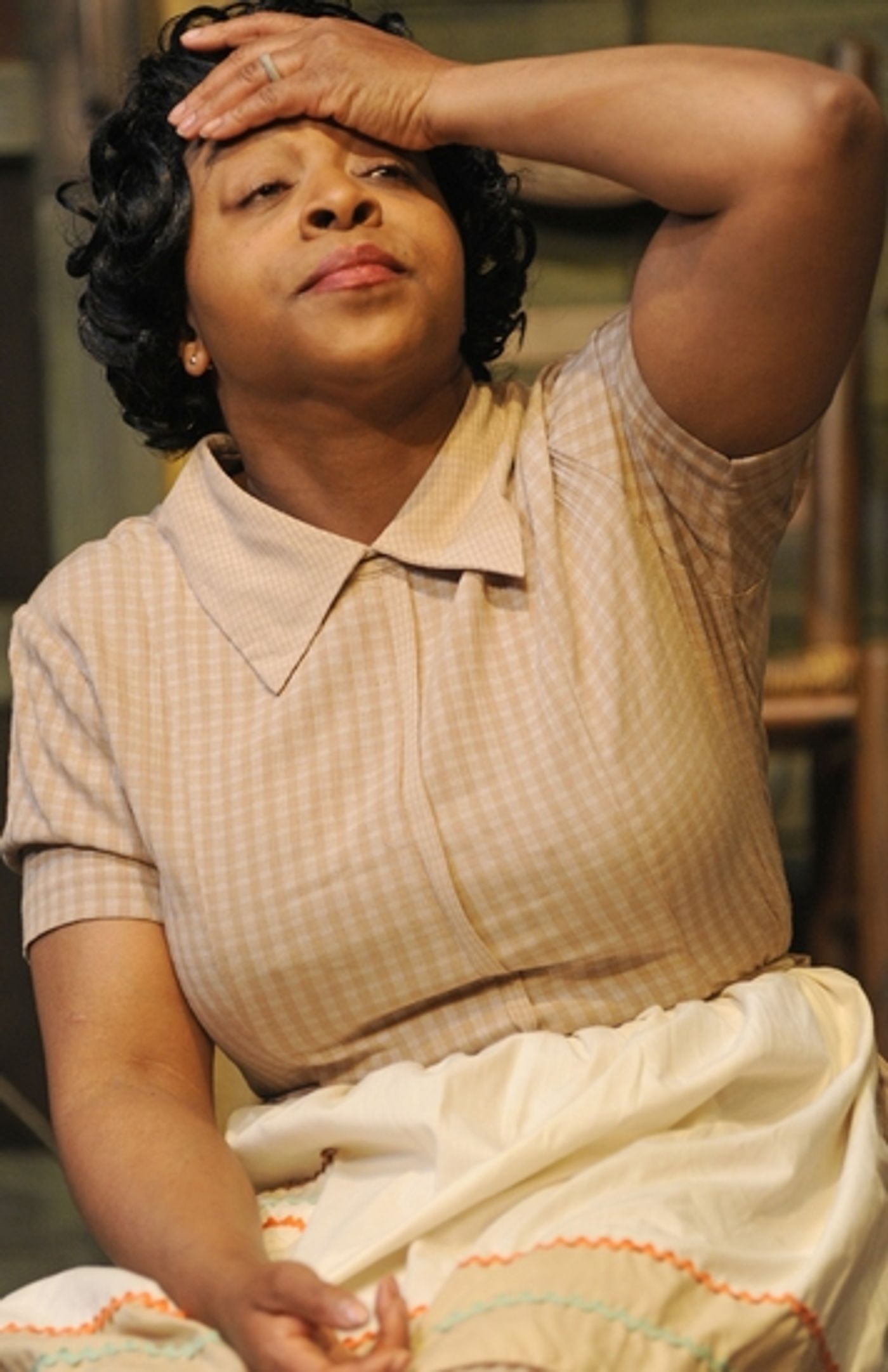 Photo Flash: FENCES At Performance Network Theatre Photo Flash: FENCES At Performance Network Theatre Image