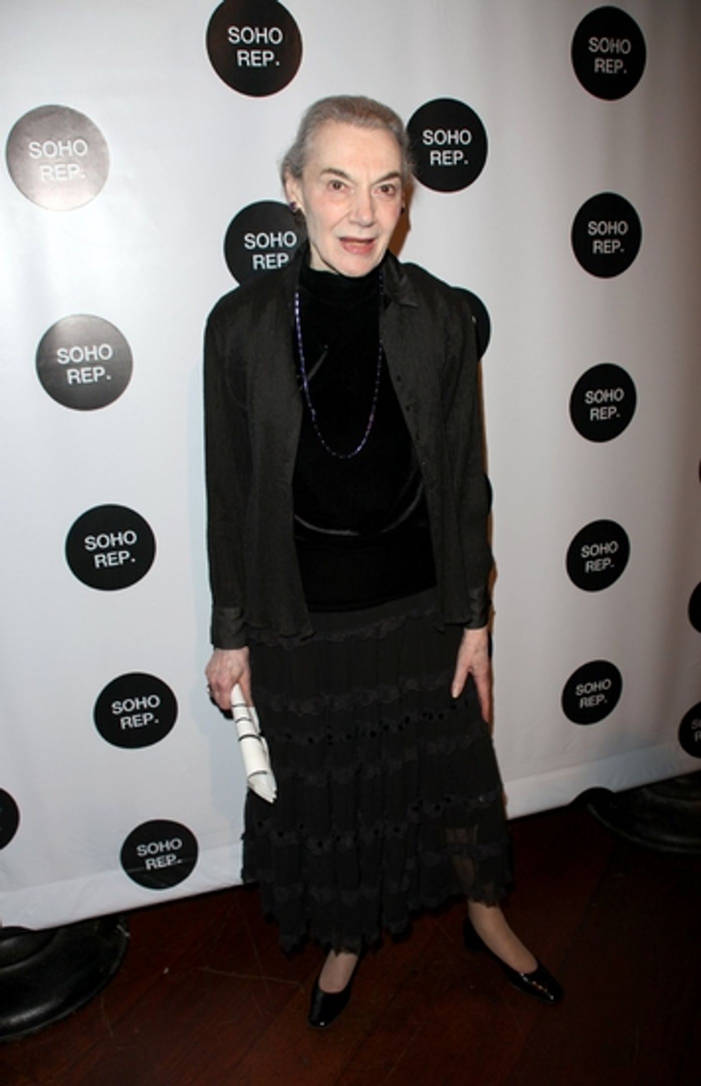 Photo Coverage: SOHO REP 2009 Spring Gala  Image