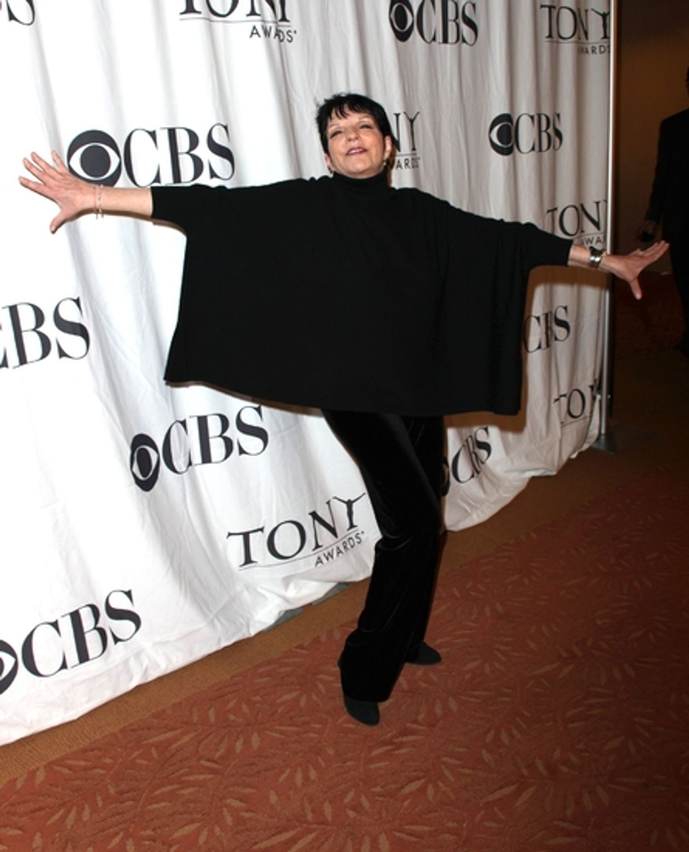 Photo Coverage PREVIEW: 2009 Tony Awards 'Meet the Nominees' Press Reception  Image