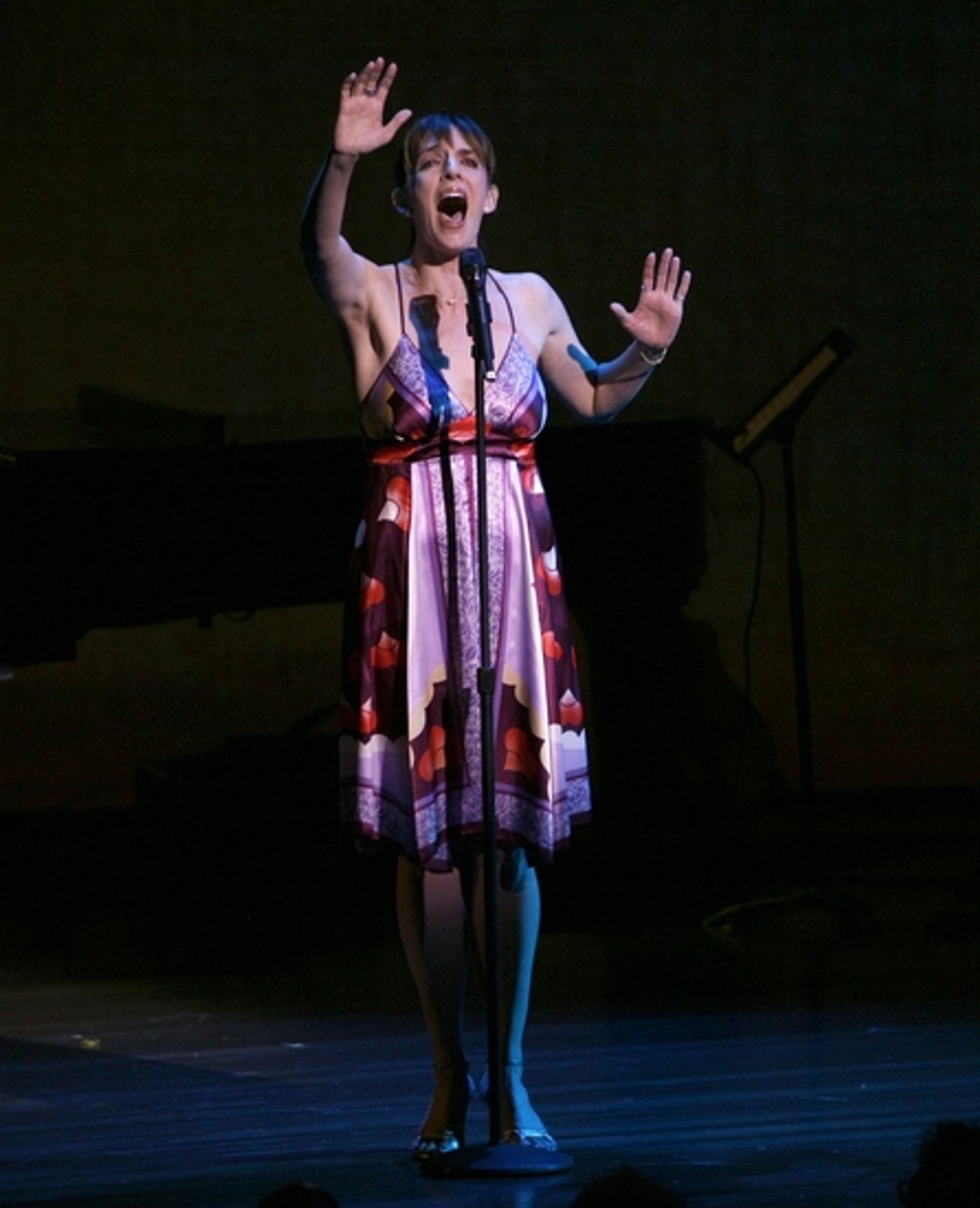 Photo Coverage: Kander & Ebb 'COME TO THE CABARET' Benefit - Performance  Image