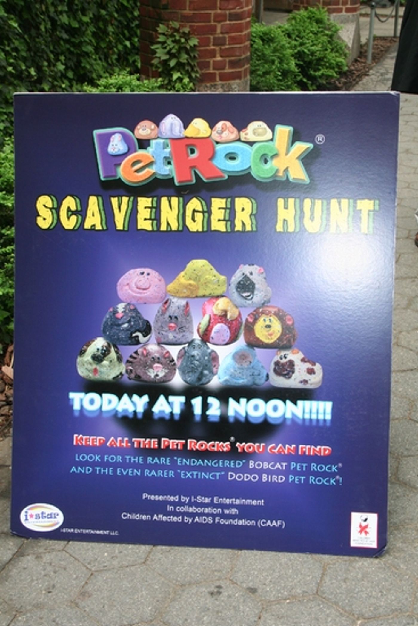 Photo Coverage: Hilty, Hodges & AVENUE Q Cast at 'Broadway Salutes Pet Rocks'  Image