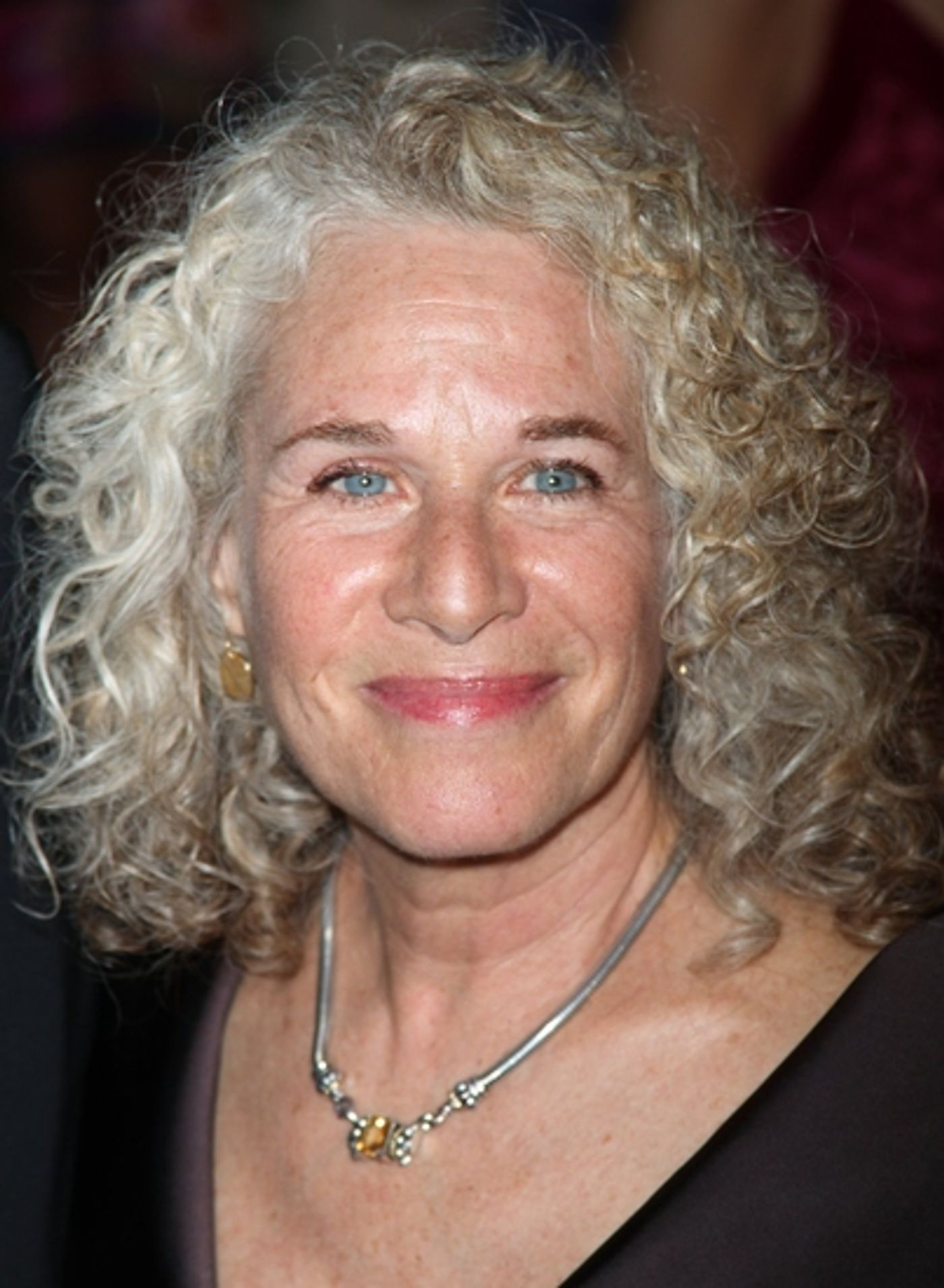 Photo Coverage: 2009 White House Correspondents Dinner Part 2  Image
