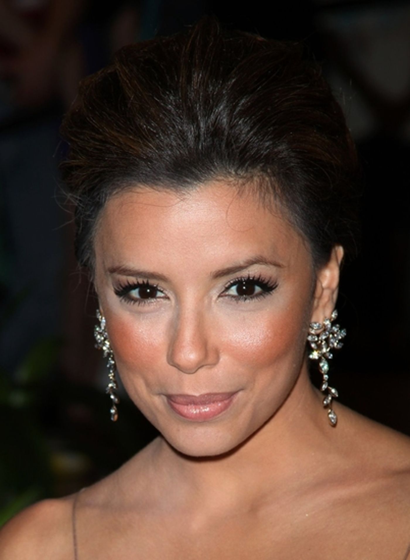 Photo Coverage: 2009 White House Correspondents Dinner Part 2  Image