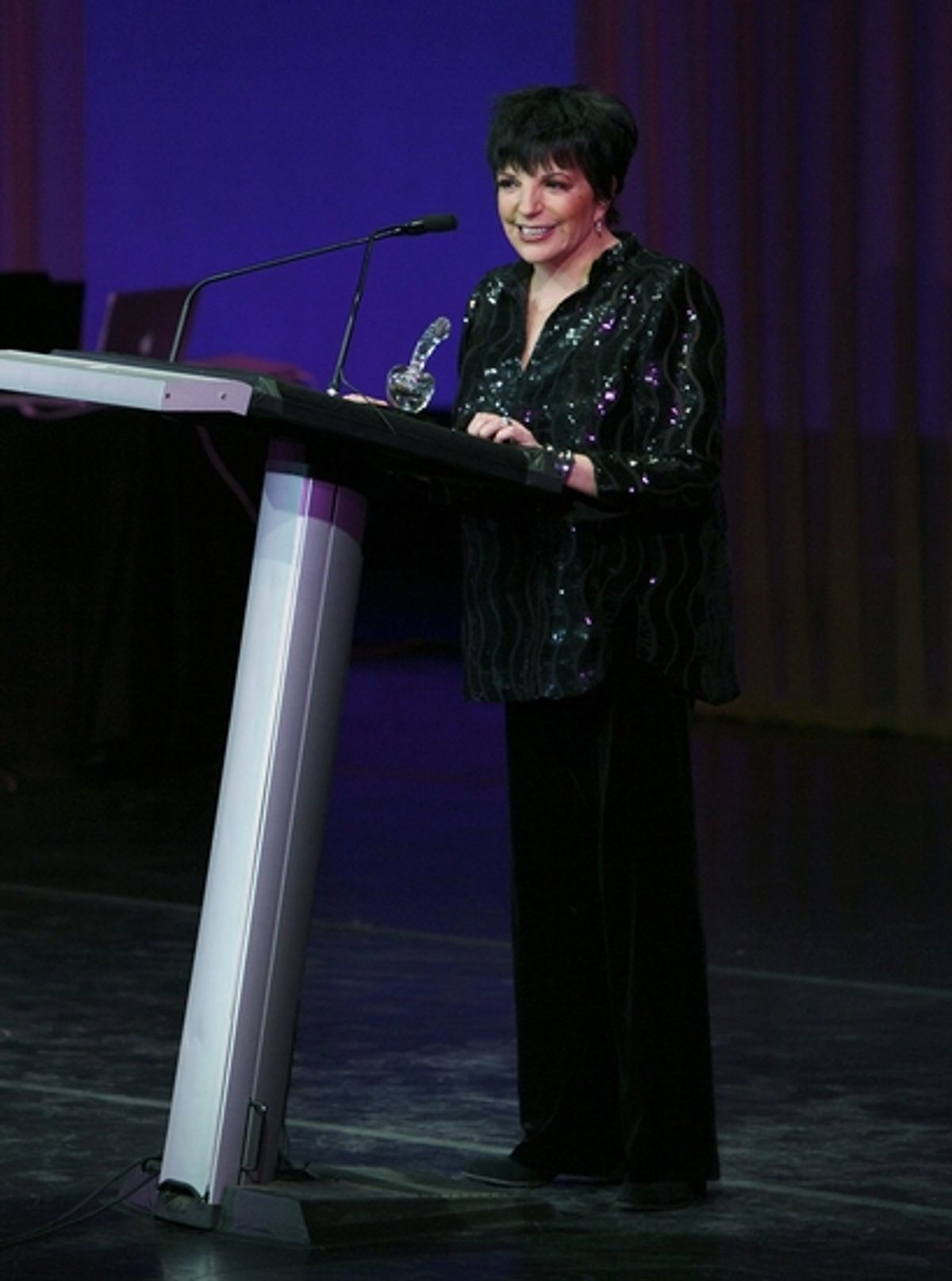 Liza Minnelli at 2009 Drama Desk Awards - Presentation 2