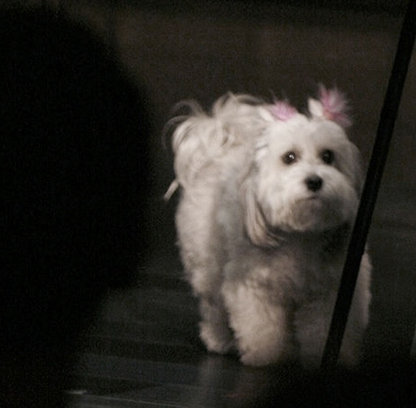 Photo Coverage: '33 VARIATIONS' - Closing Night Curtain Call on Broadway  Image