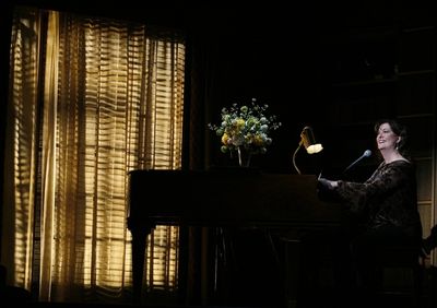 Ann Hampton Callaway Photo