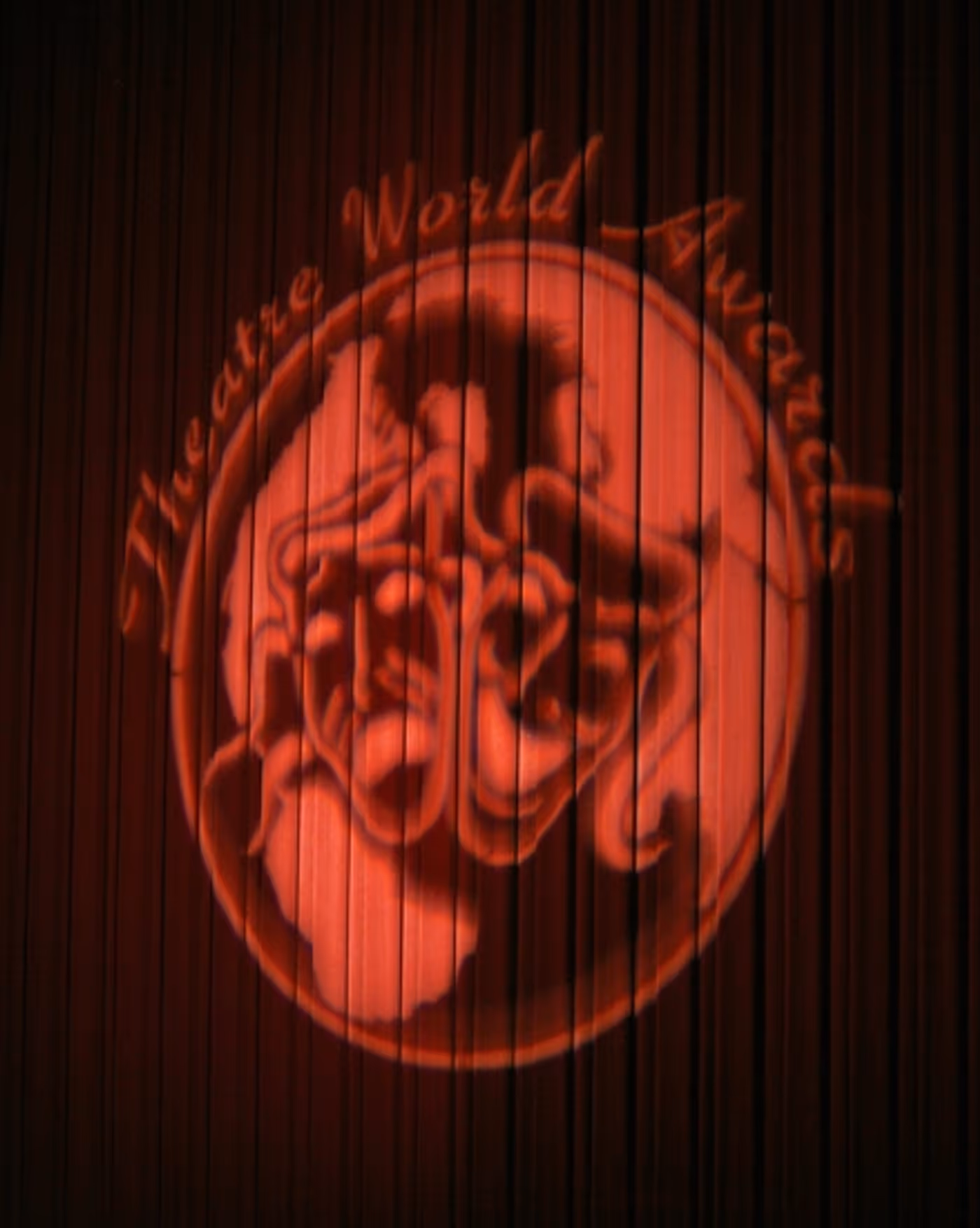 Photo Coverage: 65th Annual Theatre World Awards - Ceremony Part 3  Image