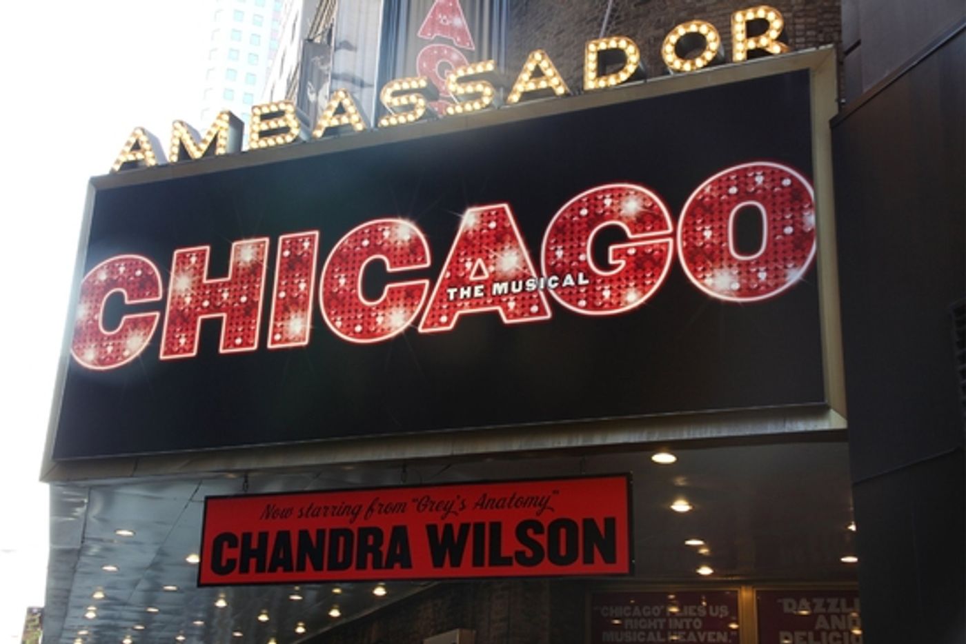 Photo Coverage: Chandra Wilson Takes Her Broadway Bows In 'CHICAGO' Photo Coverage: Chandra Wilson Takes Her Broadway Bows In 'CHICAGO' Image