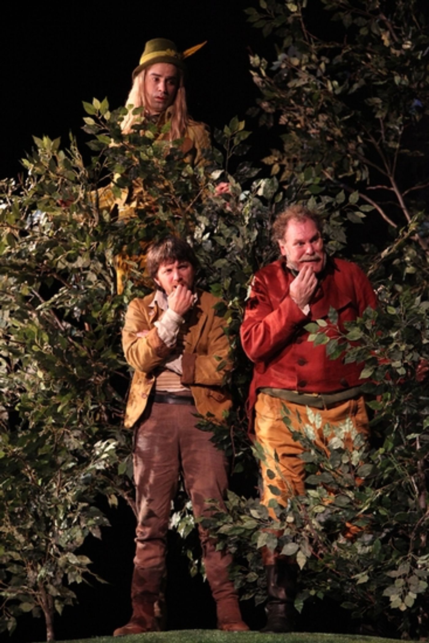 Photo Flash: The Public Theater's TWELFTH NIGHT at the Delacorte Theater  Image