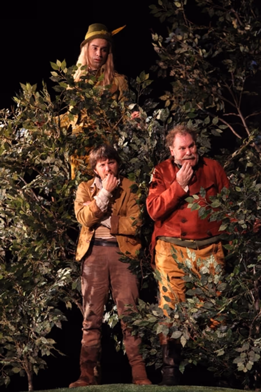 Photo Flash: The Public Theater's TWELFTH NIGHT at the Delacorte Theater Image