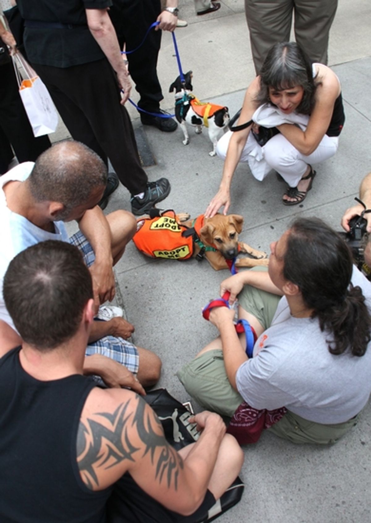 A real BROADWAY BARKS baby at 