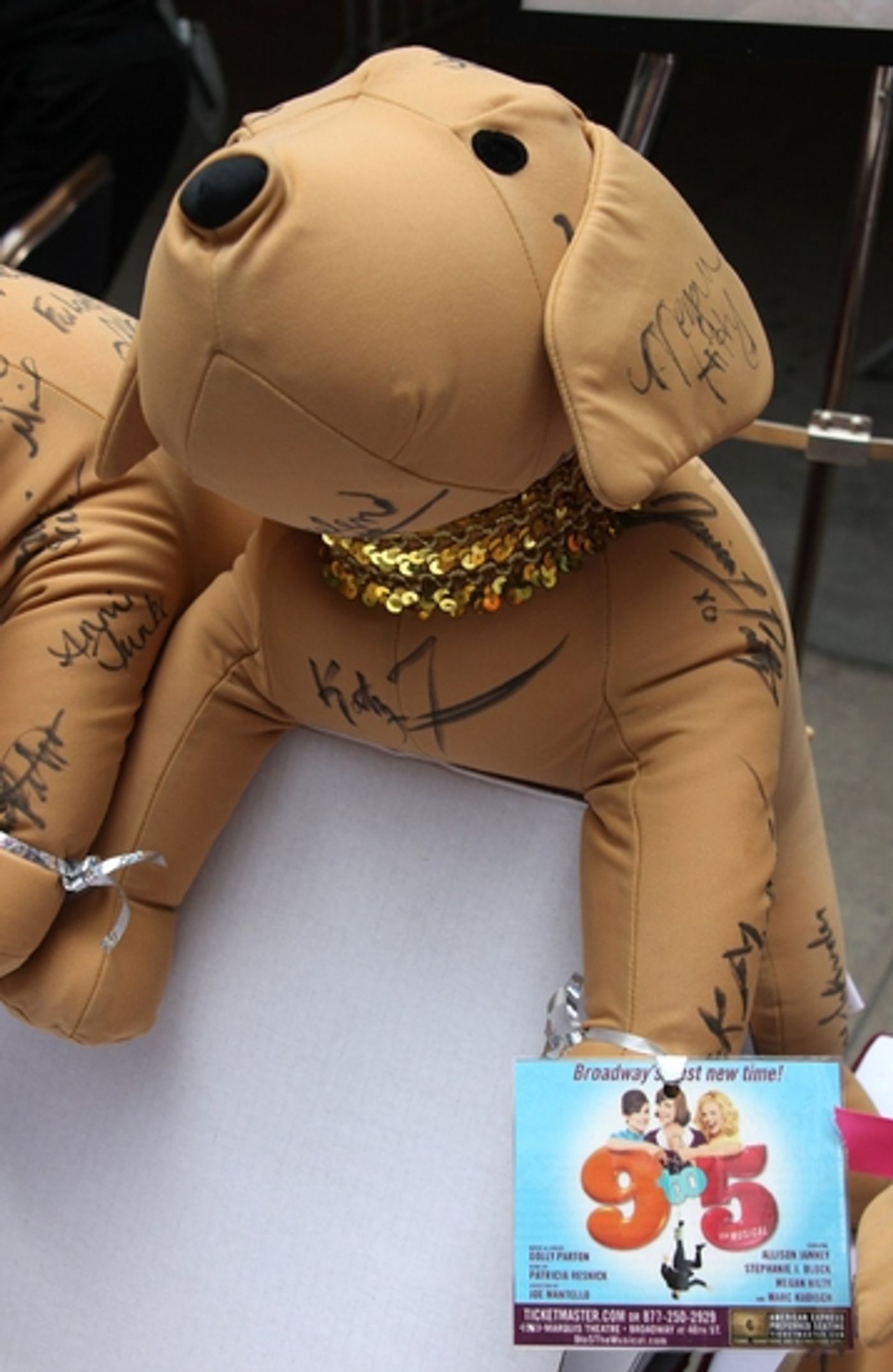 Photo Coverage: 'BROADWAY BARKS 11' In Shubert Alley  Image