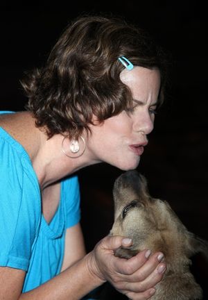 Marcia Gay Harden Photo