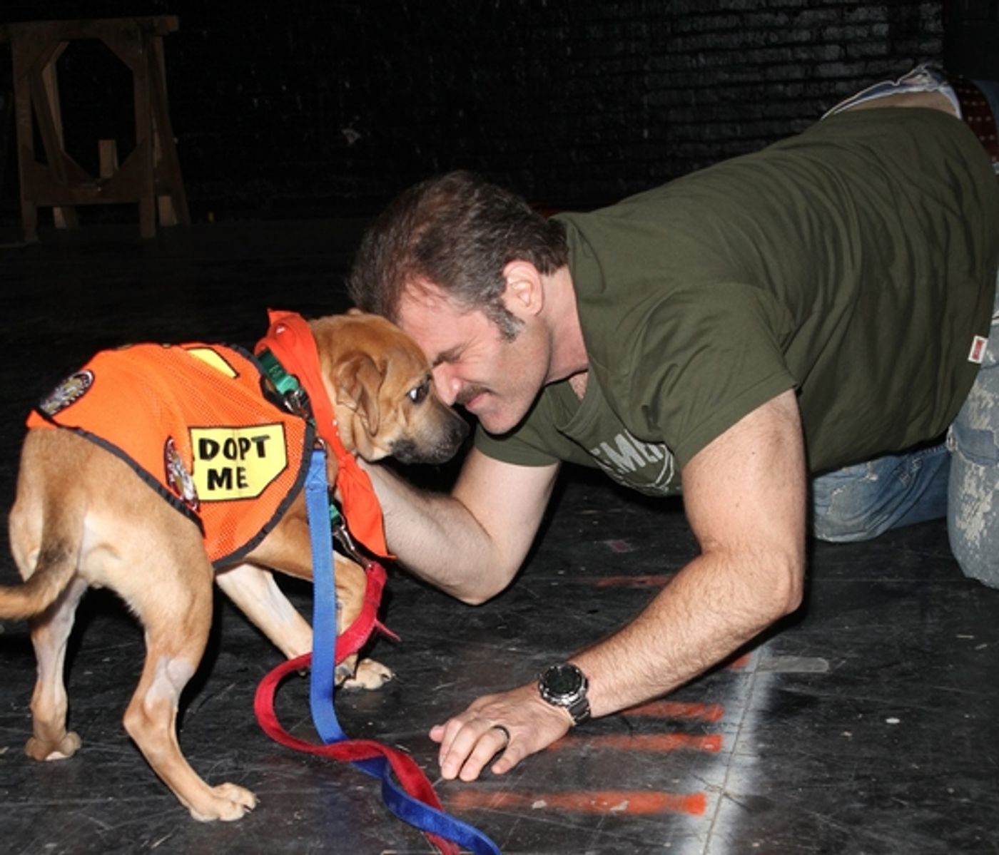 Photo Coverage: BROADWAY BARKS 11 -  Backstage Part Two  Image
