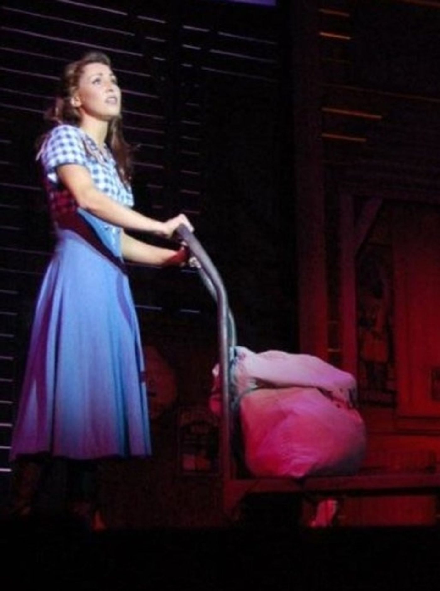 Photo Flash: CRAZY FOR YOU at the John W. Engeman Theater  Image