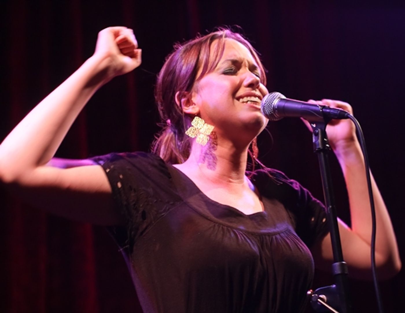 Photo Coverage: 'This Preview is RATED RSO' At The Public Theatre  Image