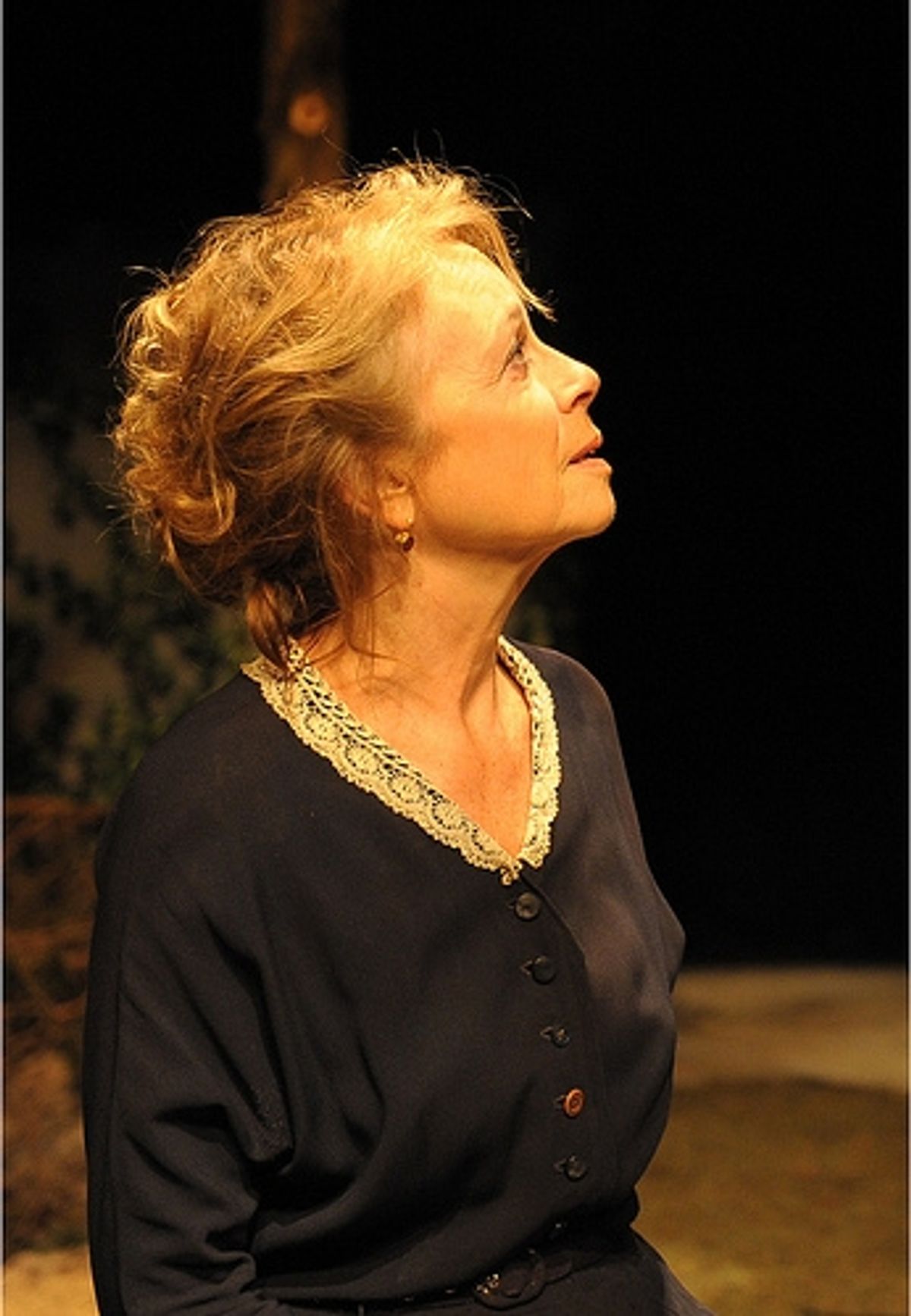 Maureen Anderman at Vassar & New York Stage And Film's Powerhouse's VERA LAUGHED  