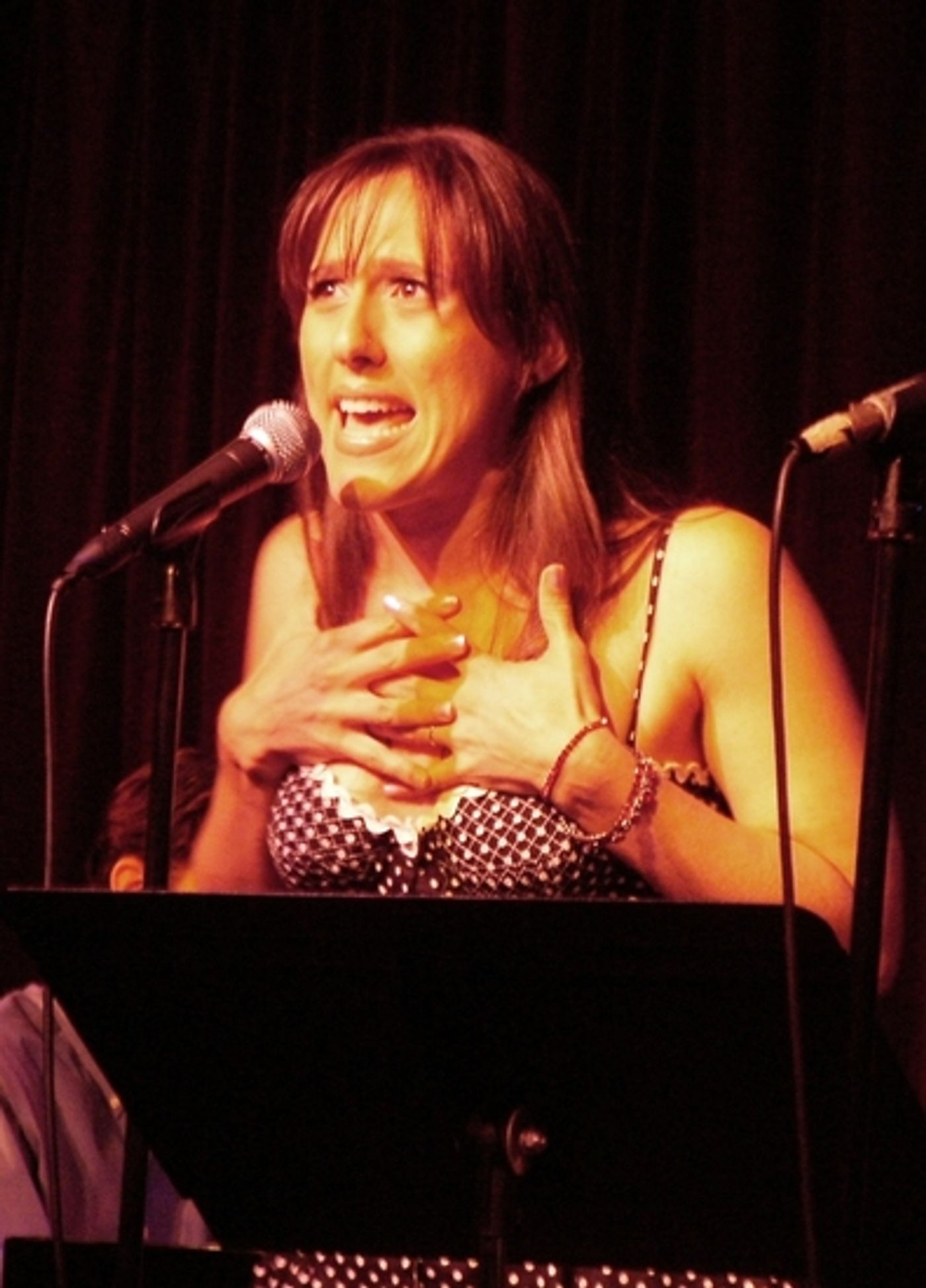 Photo Flash: NAMT Festival of New Musicals at Birdland  Image