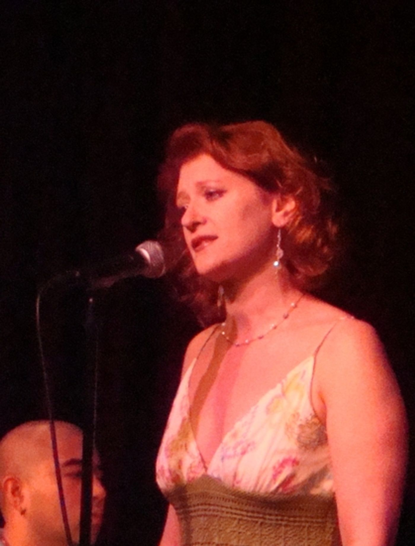 Photo Flash: NAMT Festival of New Musicals at Birdland  Image