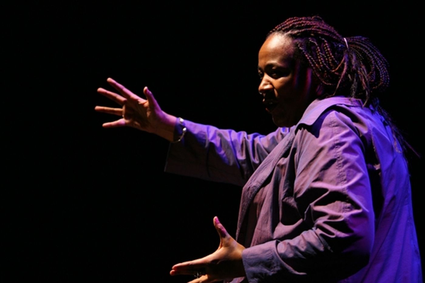 Photo Flash: Goodman Theatre's STOOP STORIES  Image