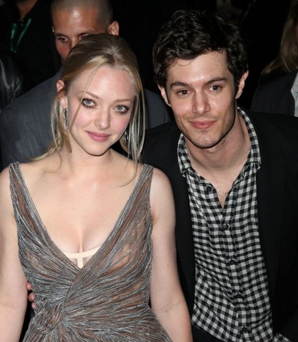 Amanda Seyfried and Adam Brody Photo