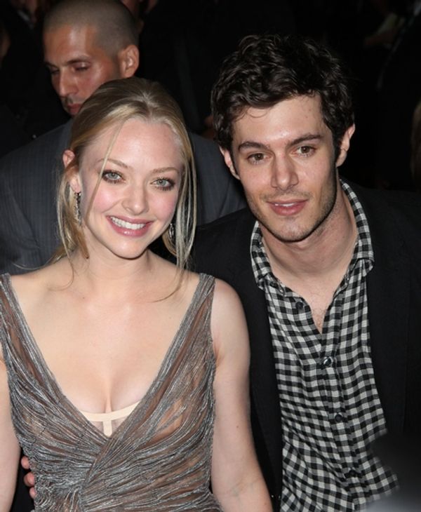 Amanda Seyfried and Adam Brody Photo