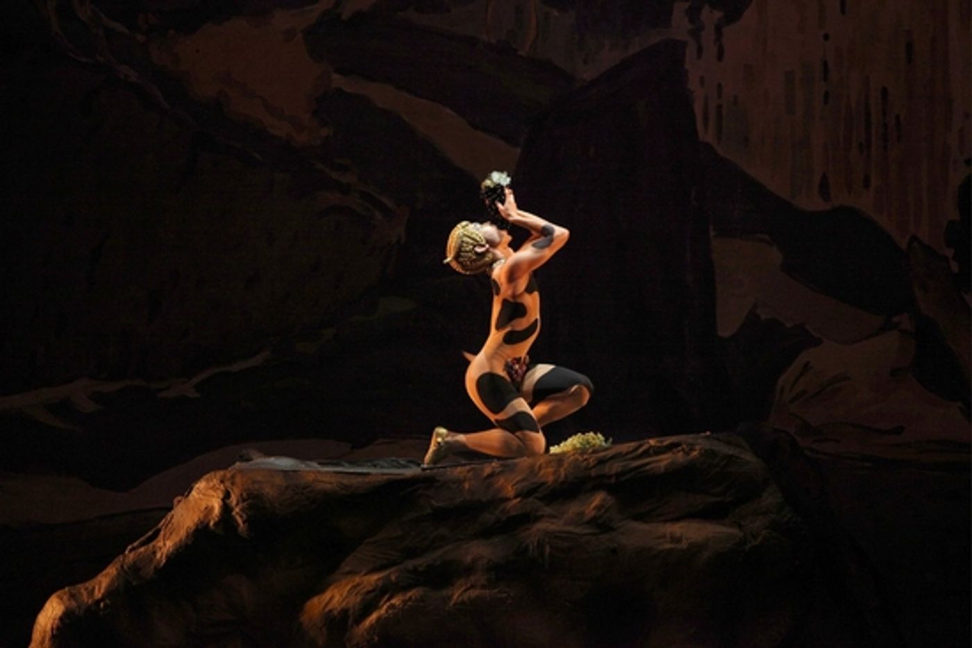 Photo Coverage: 'Fall For Dance Festival 2009' Photo Coverage: 'Fall For Dance Festival 2009' Image