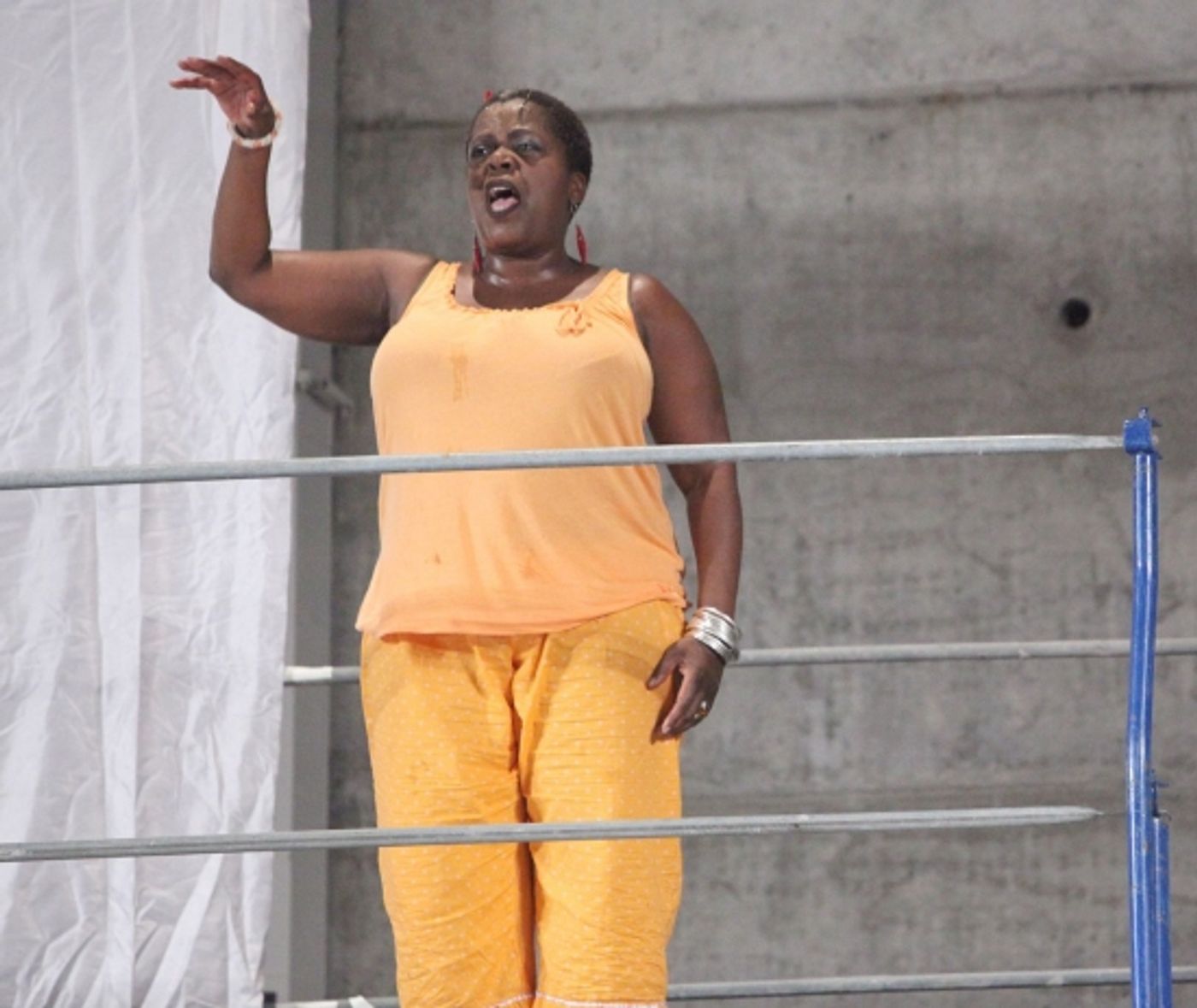 Photo Coverage: FELA! Meets the Press  Image