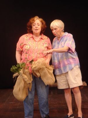 Jennifer Lee Levitz and Sarah Clark Photo