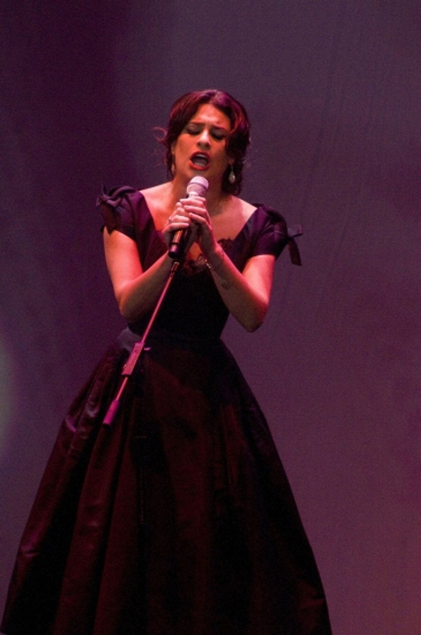 Photo Coverage: The Human Rights Campaign 13th Annual National Dinner  Image