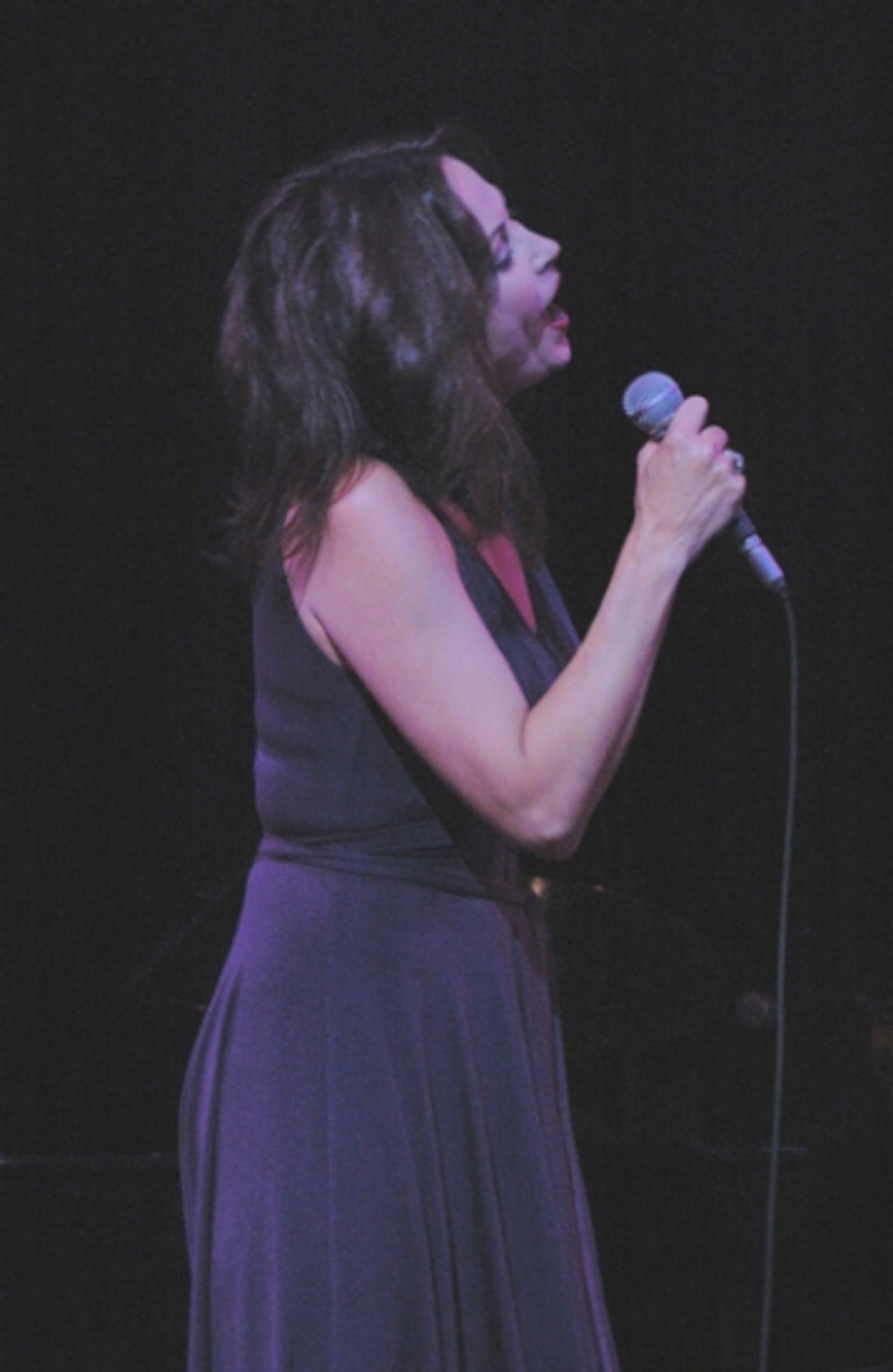 Photo Coverage: All of Me - Linda Eder at Town Hall - Performance!  Image