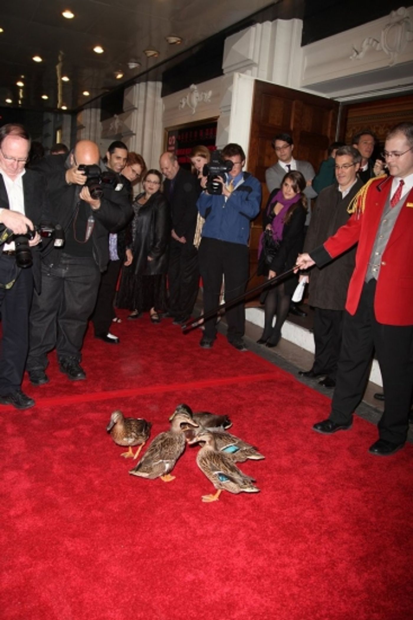 Photo Coverage: MEMPHIS on Broadway at the Shubert Theatre - Opening Night Arrivals  Image