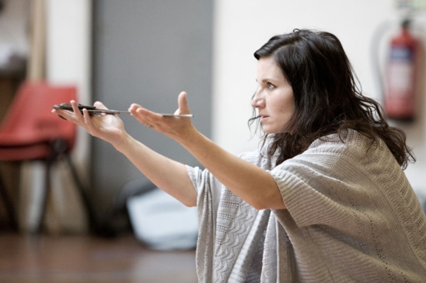 Photo Flash: Donmar Warehouse's LIFE IS A DREAM  Image