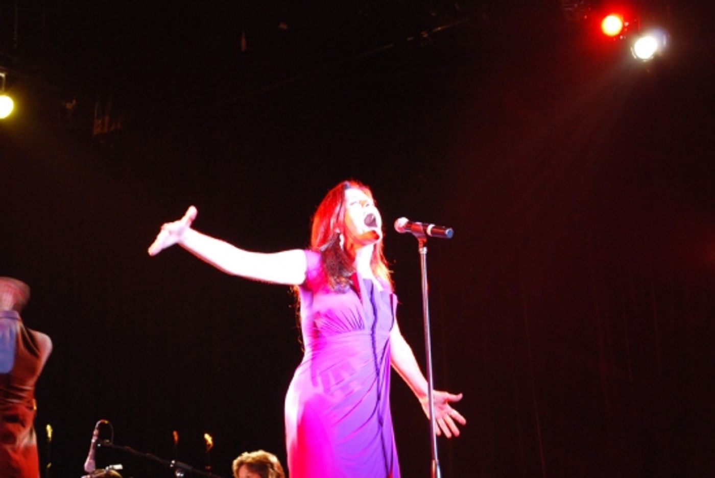 Photo Coverage: 2009 'BROADWAY WISHES' Benefit Concert in O.C.  Image